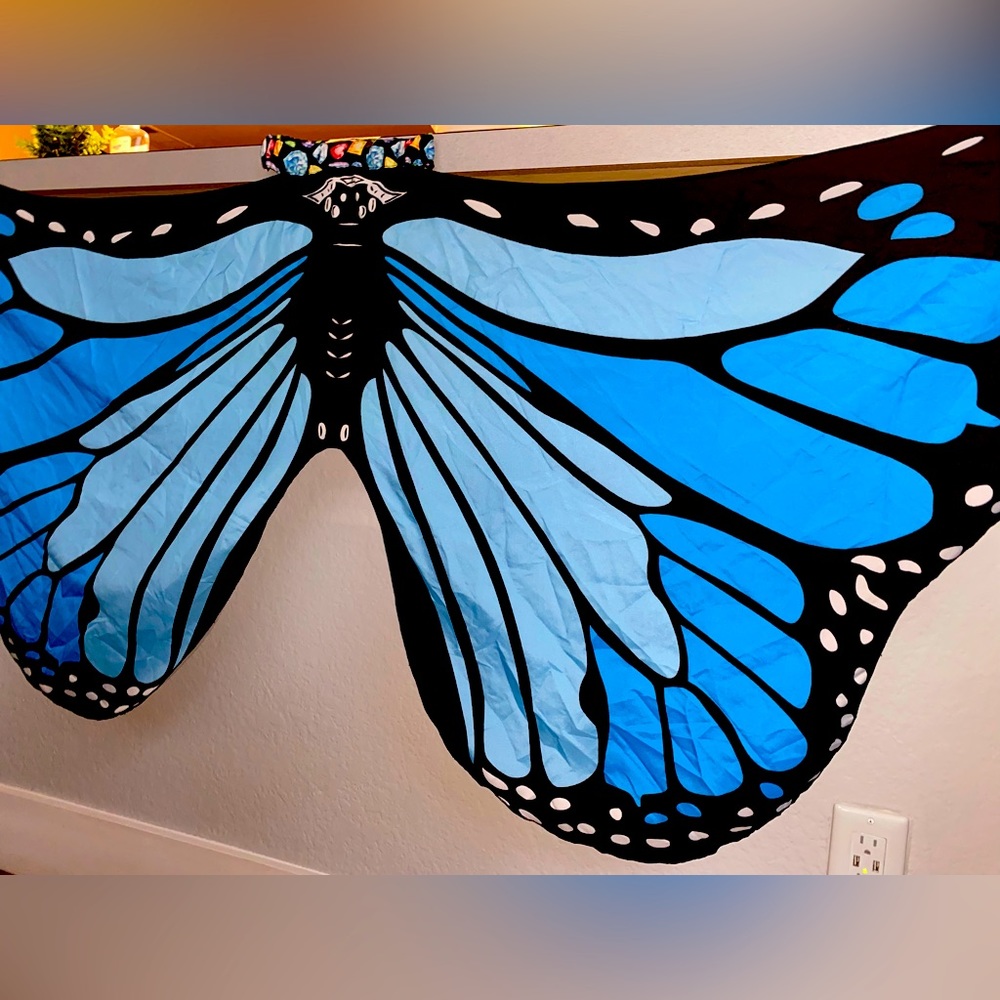 Butterfly | Wings | Costume | Rave | Festival | Halloween